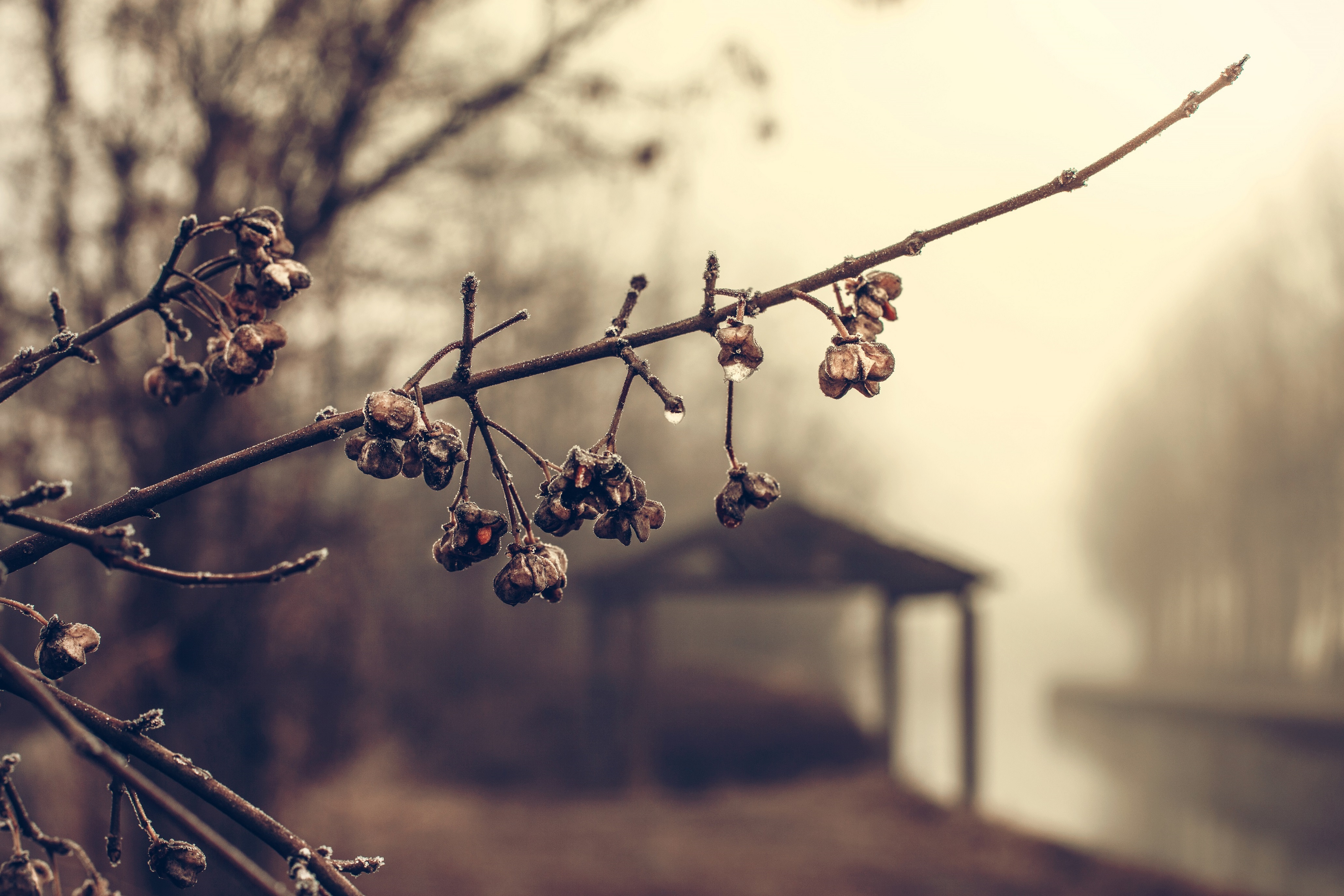 dreary day